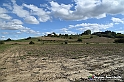 VBS_5274 - La solita strada... il grano da crescere, i campi da arare...